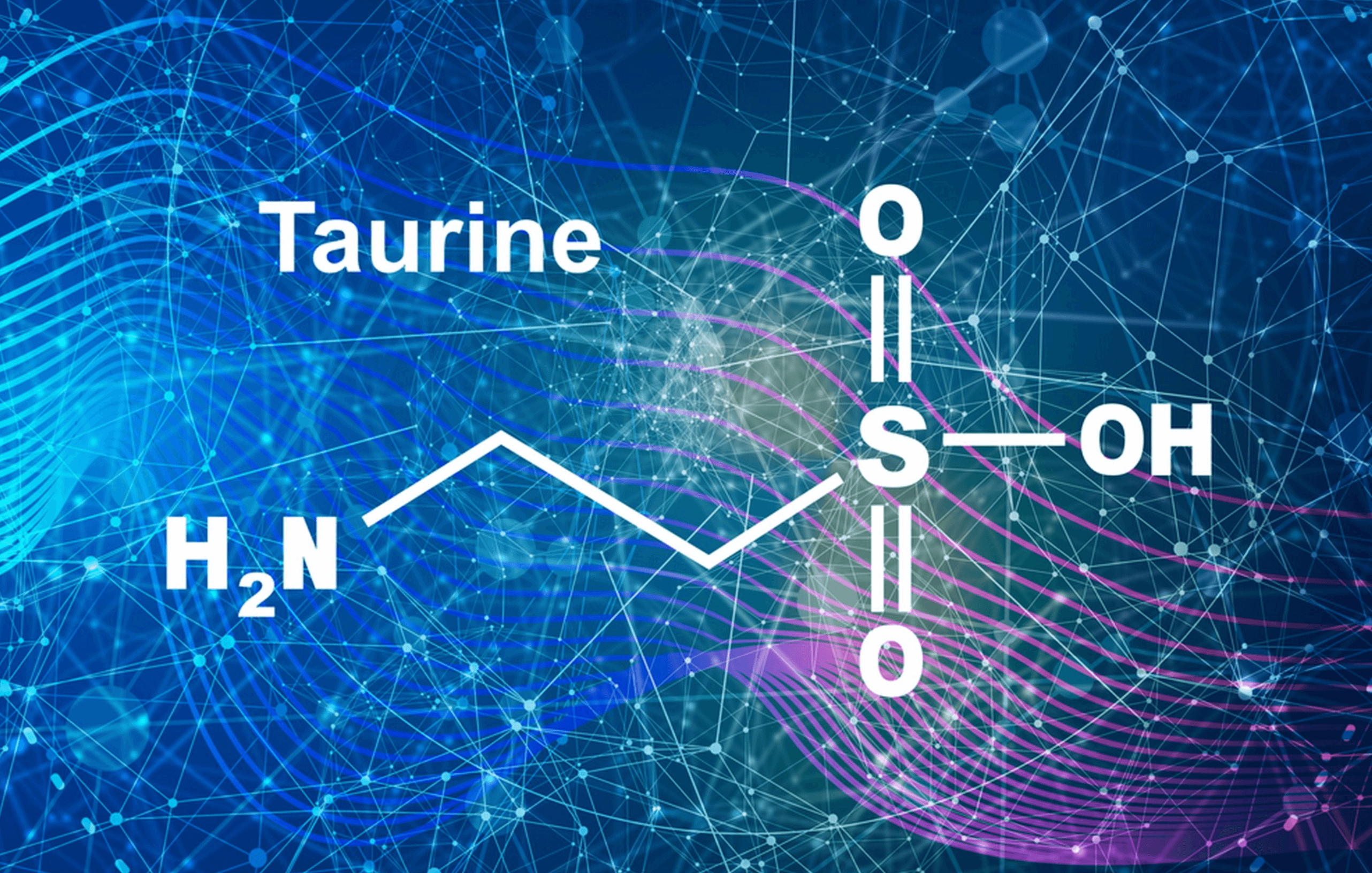 LA TAURINE, UN ALLIE EXCEPTIONNEL POUR VOTRE SANTE ET VOTRE SOMMEIL